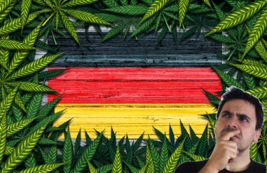 German medical marijuana